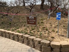 -元大都城垣遗址公园