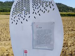 -艾米稻香小镇
