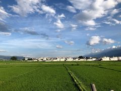 -喜林苑·稻田餐厅(品相府店)