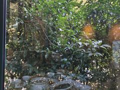 -龙井壹号·茶缘山景宴(龙井村店)