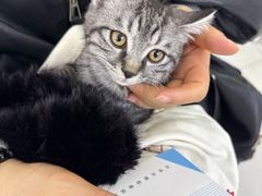 -达爱动物医院·犬猫分区·CT·复杂眼科(远洋山水分院)