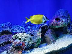 -上海海洋水族馆