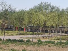 -西青郊野公园