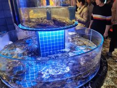 -五月罗马海鲜烤肉自助餐厅(印象城店)