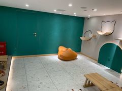 -飞行喵MR PILOT|猫舍·猫咖(静安大融城店)