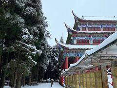 -武陵山森林公园