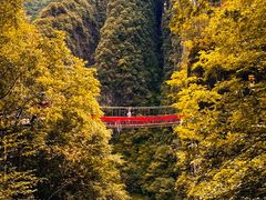 -光雾山旅游景区