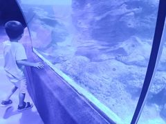-左海海底世界