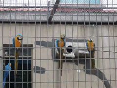 -石家庄市动物园