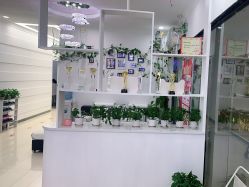 -白博士面部护理&头皮护理