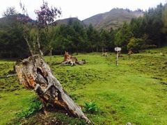 -硗碛藏寨·神木垒景区