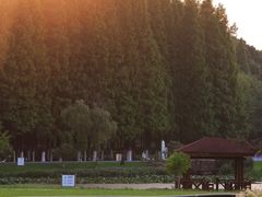 -宜兴龙背山森林公园