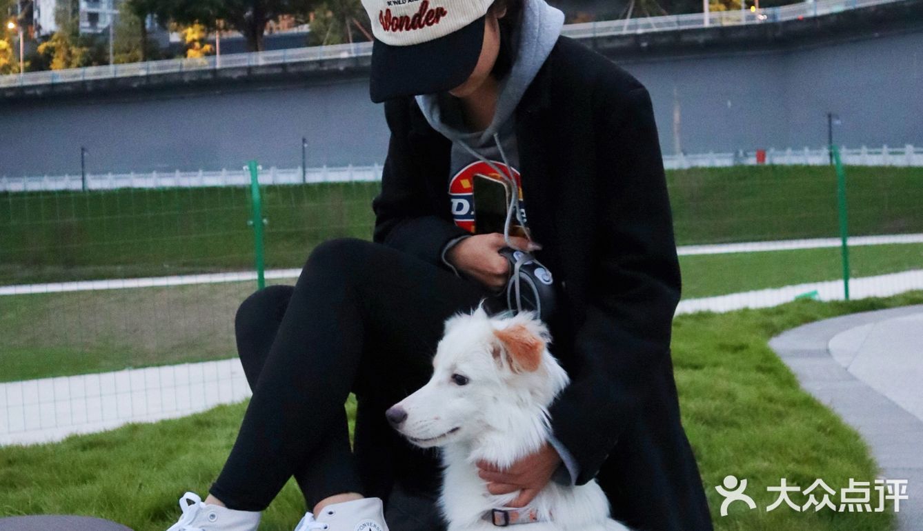 我的小狗狗很可爱🐶和狗狗营业啦
