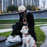 我的小狗狗很可爱🐶和狗狗营业啦
