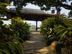 -江心屿景区