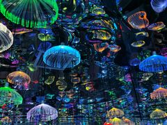 -天津梵高星空艺术馆(天河城旗舰店)