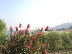 -抚仙湖禄充风景区