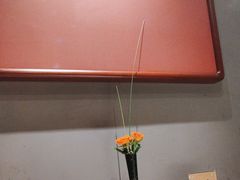 -觀芷隐轩