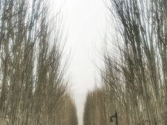 -拜城克孜尔千佛洞-售票处