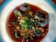 皮蛋-七友美蛙鱼头火锅(坂田店)