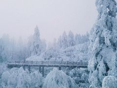 -瓦屋山景区