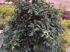 -西南政法大学(渝北校区)
