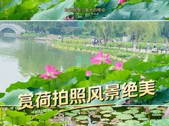 -陶然亭公园