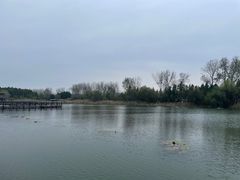 -溱湖国家湿地公园