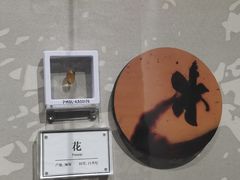 -辽宁古生物博物馆