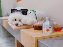-稀物集咖啡(徽州大道店)
