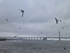 -星海广场