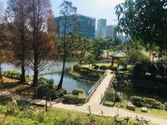 -大埔公路-马料水段香港中文大学(公交站)