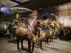 -秦始皇帝陵博物院(兵马俑)