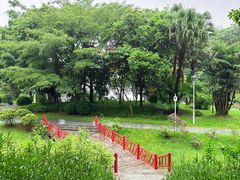 -东莞植物园