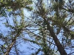 -吊水壶国家森林公园