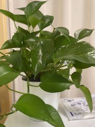 -深圳广和门诊部·整形医疗美容