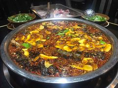 -费明中罗非鱼(大石坝店)
