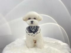 -comecome来吧宠物(奥克斯中心店)