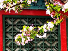 -海棠花溪(元大都城垣遗址公园)