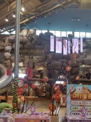 -卡通尼·Safari非洲探索乐园·生日会(金桥国际商业广场店)