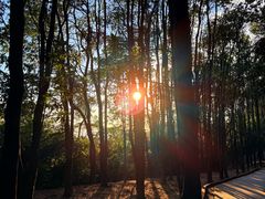 -火炉山森林公园
