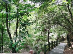 -藏龙百瀑风景区