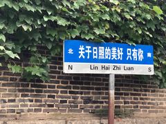 -日照海滨国家森林公园