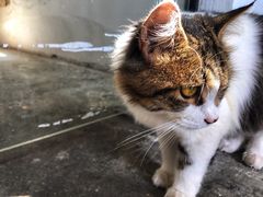 -五月木作·DIY木作文创体验店(北京路店)