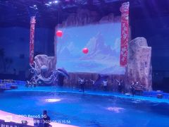 -华夏文旅海洋公园