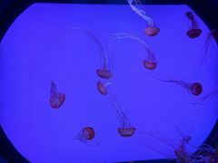 -沈阳海洋探索中心