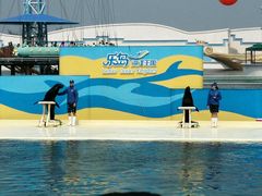 -秦皇岛乐岛海洋王国