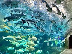 -波塞冬旅游度假区