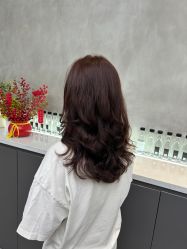 -天使之手