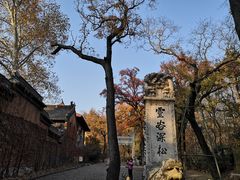 -灵谷景区